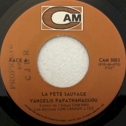 Bande sonore originale du film La Fête sauvage