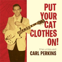 Put Your Cat Clothes On!