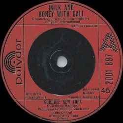 Goodbye New York / Happiness Recipe