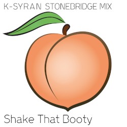Shake That Booty (Stonebridge mix)