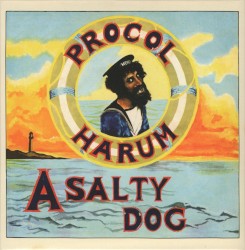 A Salty Dog