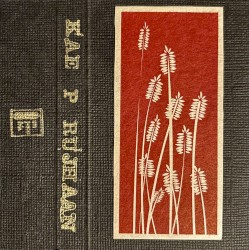 Geographical & Temporal Perimeters