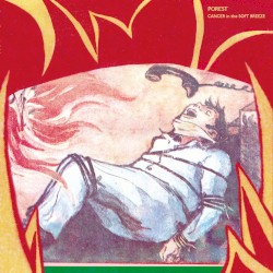 Cancer in the Soft Breeze