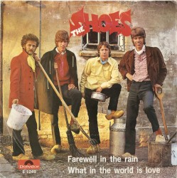 Farewell in the Rain / What in the World Is Love