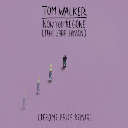 Now You’re Gone (Jerome Price remix)