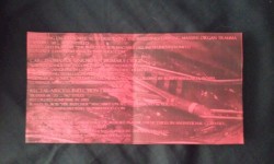 4-Way Gorenoise Split