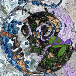 Méditations sur des objets astronomiques énigmatiques