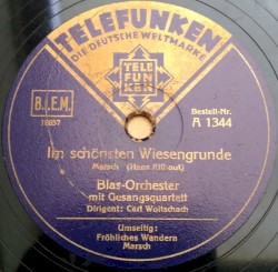 Im Schönsten Wiesengrunde / Fröhliches Wandern