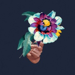 Kingdoms in Colour Remixed