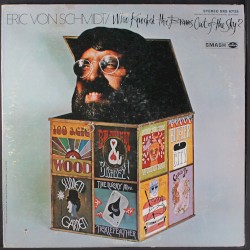 Who Knocked the Brains Out of the Sky?