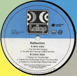 The Wall With Paintings / Flowers For The Moonlight