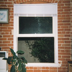 Windows I