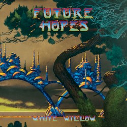 Future Hopes