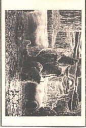 Hallucinatory Executions