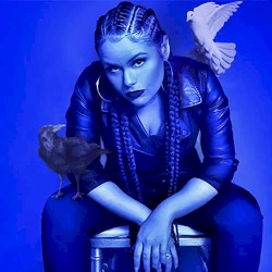 Doves & Crows