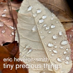 Tiny Precious Things