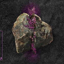 Polar Bears / Thunder & Sunshine