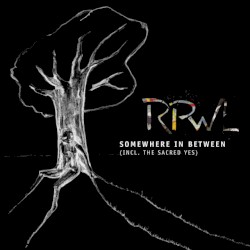 Somewhere in Between