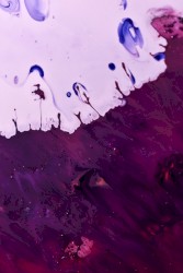 This Road We Travel Could Be Our Last; We Will Come Crawling Home for the Lastest Goodbye We Will Ever Know, We Will Then Carry Off the Dead Leaves, Oh Please Don't Hide the Keys, Before We Run and Hide; Then, When That Pernicious Stranger Pulls in Our Driveway, We'll Hide What We Know When It Bites