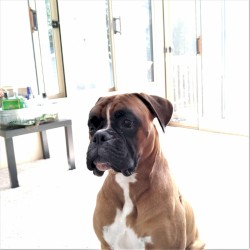 The Very Bess, No Less