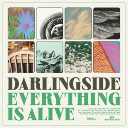Everything Is Alive