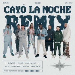 Cayó la noche (remix)