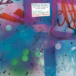 Stan’s Hat Flapping in the Wind