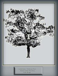 Highland Park Boulevard