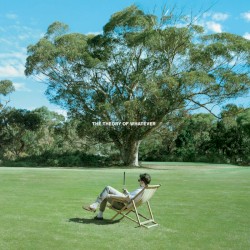 THE THEORY OF WHATEVER