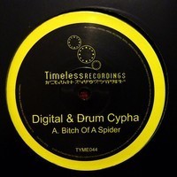 Bitch of a Spider / Chi Wa Wa