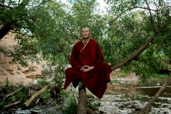 Living in Fear of the World Is Cruel and Inhumane, Unless You Get a Vaccination From Overt Cynicism