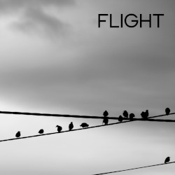 Flight