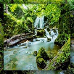 Life Without Social Media