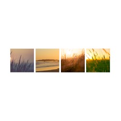Late Summer
