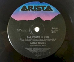 All I Want Is You / Two Hot Girls (On a Hot Summer Night)