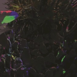 涅槃 EP ( Nirvana EP )