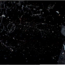 Mood of the Era Vol. 1