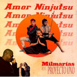 Amor Ninjutsu