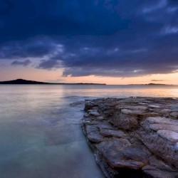 What Kind of Fool Am I