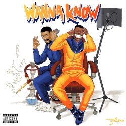 Wanna Know (remix)