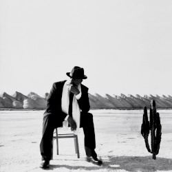 Le Cactus de Sibérie