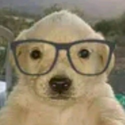 i witerawwy saw a ghost