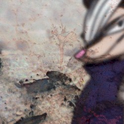 Cannon Ball + Gondola Drop