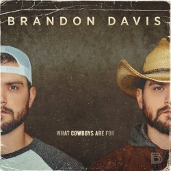 What Cowboys Are For