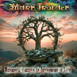 Journey’s Groove – An Adventure in Life