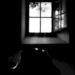 Notes From an Open Window_2