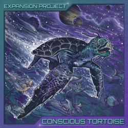 Conscious Tortoise