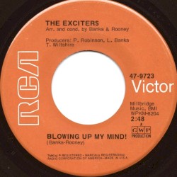 Blowing Up My Mind! / You Don’t Know What You’re Missing ('Till It’s Gone!)