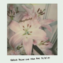 Stay Lucky Live From Rak 31/8/17