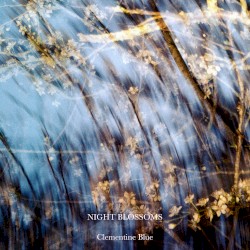 Night Blossoms